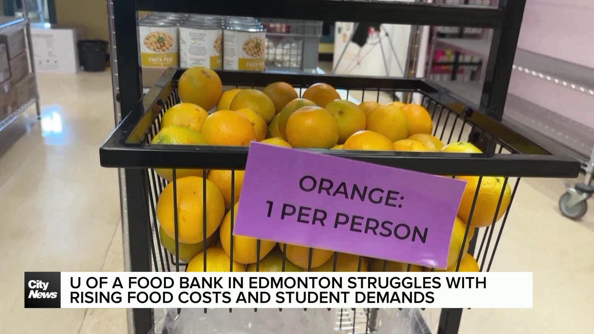 Edmonton’s campus food bank struggling with demands and rising food costs