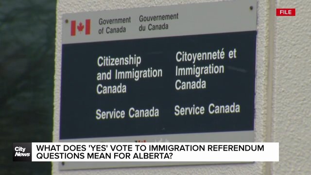 What does 'yes' vote to immigration referendum questions mean for Alberta?