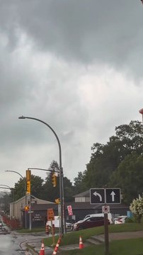 Tornado seen in Woodstock downs trees, hydro lines