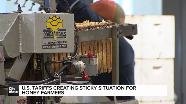 ‘We have bills to pay’: U.S. tariffs sting Alberta honey producers
