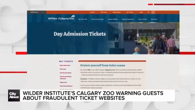 Wilder Institute’s Calgary Zoo warning guests about fraudulent ticket websites