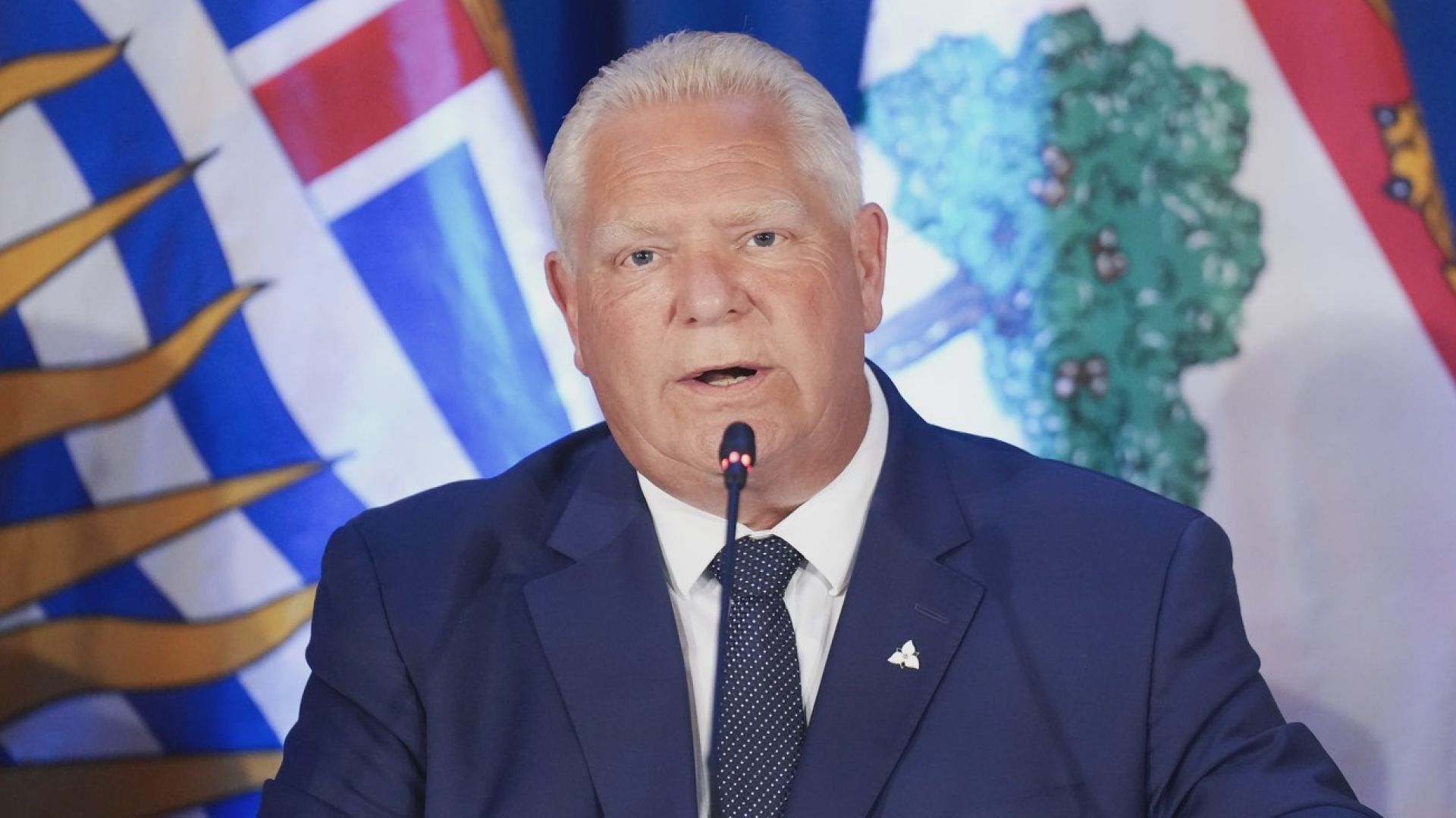 toronto.citynews.ca
