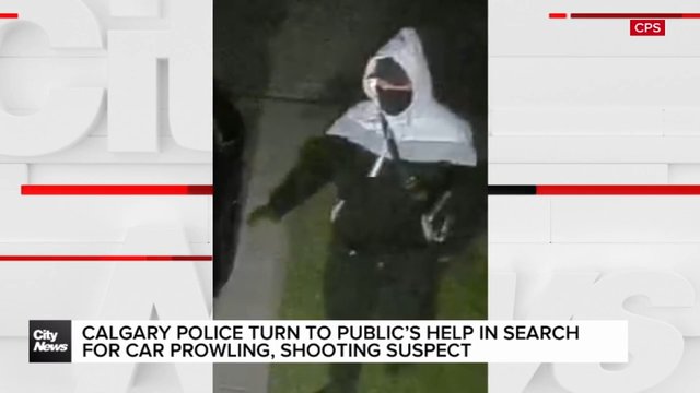 Calgary police turn to public’s help in search for car prowling, shooting suspect