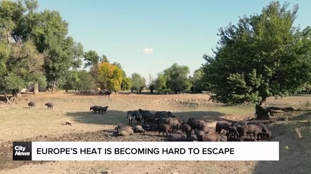 Europe heatwave threatens power supplies