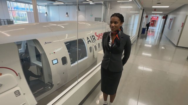 New Toronto Pearson airport, Seneca Polytechnic partnership aims for more aviation workers