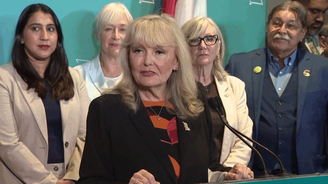 B.C. conservative leader Findlay says she's 'not going anywhere'