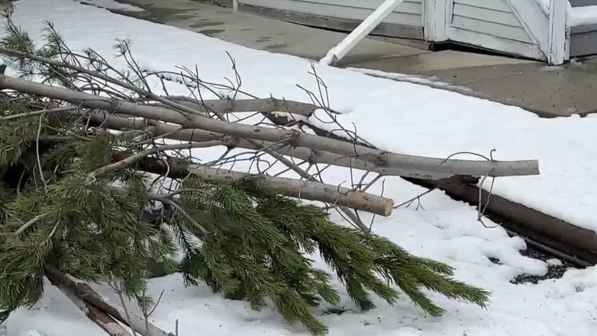 Spring snow brings fallen trees, clogged storm drains and power outages to Calgary
