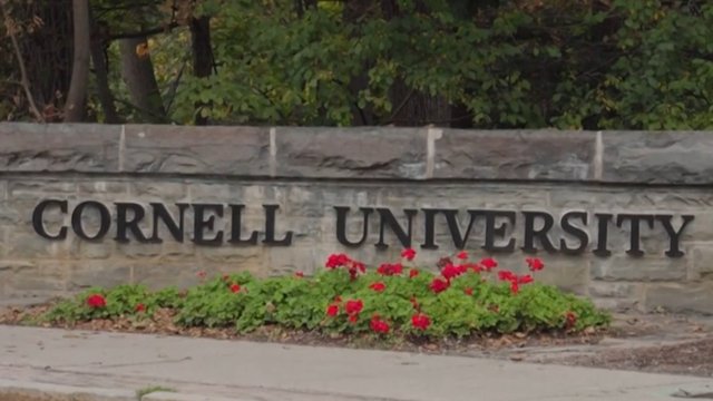 Criminal investigation launched into alleged Cornell University gang rape