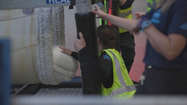Six more belugas leave Marineland for U.S. aquariums