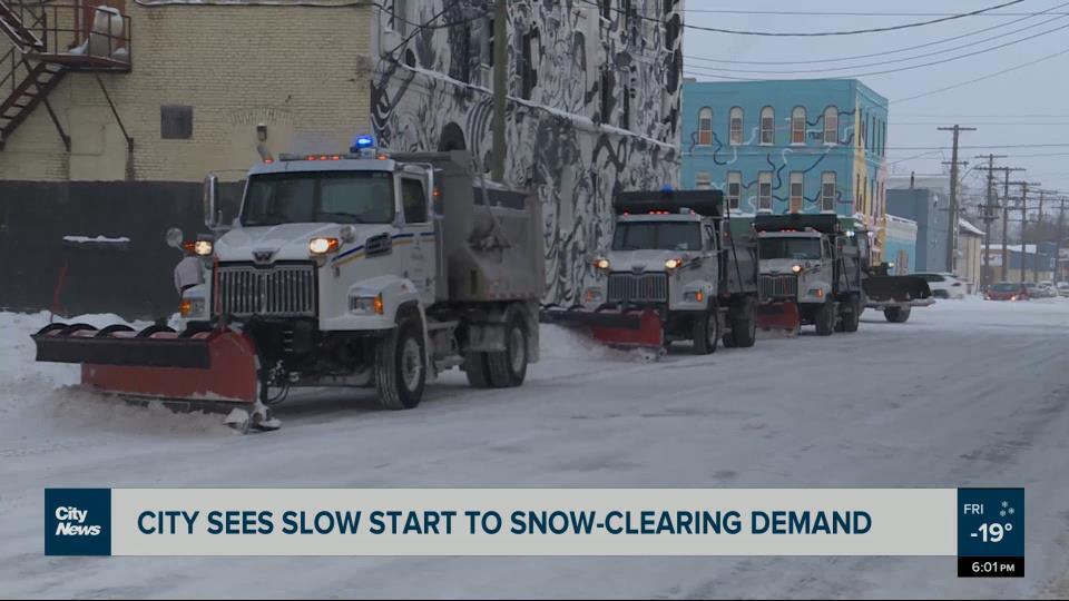 Saving the birds with proper ecosystem design Video CityNews Winnipeg