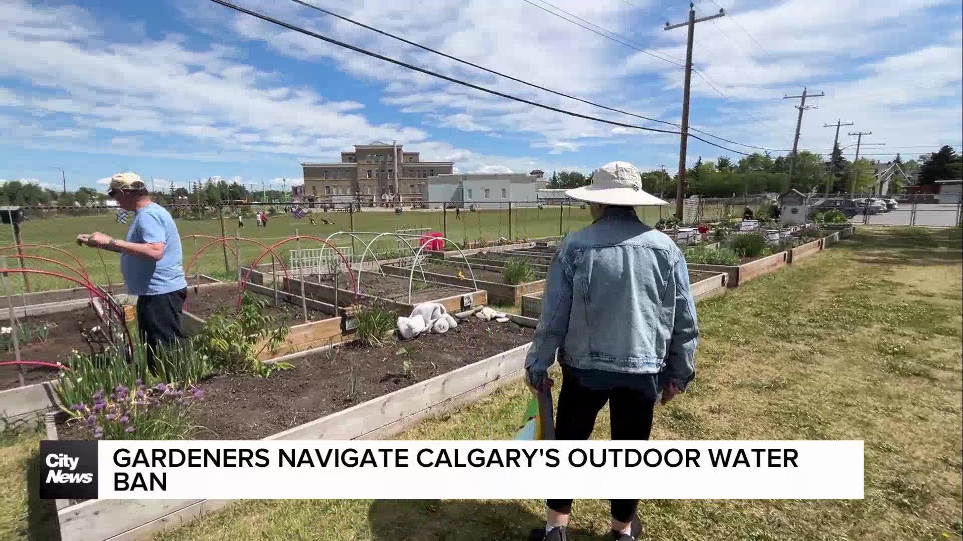 Gardeners navigate Calgary’s outdoor water ban