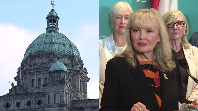 Former BC Conservative President Calls Private Investigator Probe: ‘a new low’