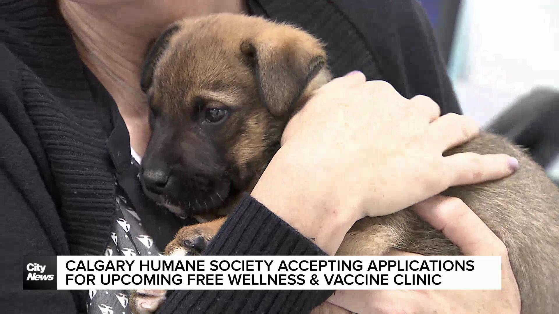 Calgary Humane Society accepting applications for upcoming free wellness & vaccine clinic