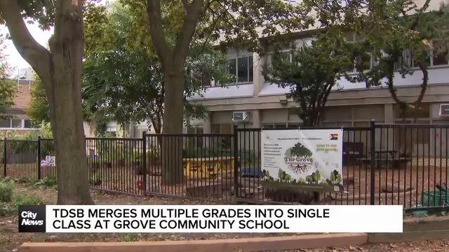 TDSB merges multiple grades into single class at Grove Community School