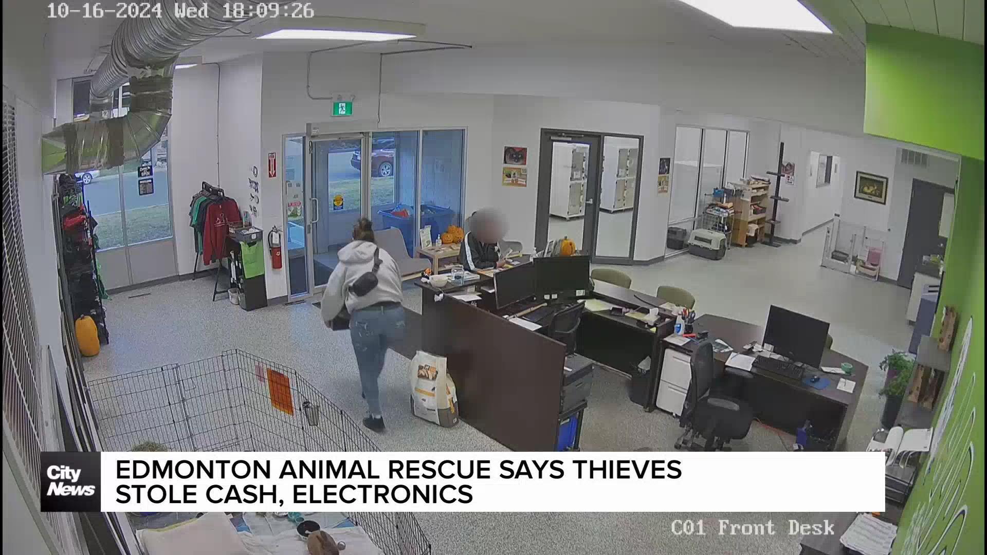 Edmonton animal rescue says thieves stole cash, electronics