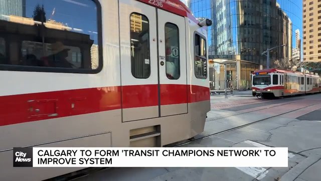 Calgary to form 'Transit Champions Network' to improve system