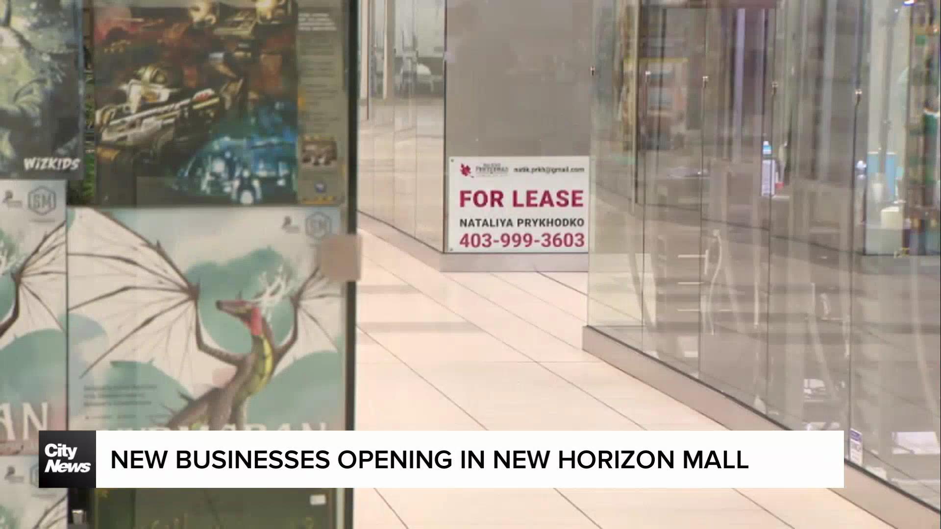 CityNews Connect: Reviving the 'ghost mall'