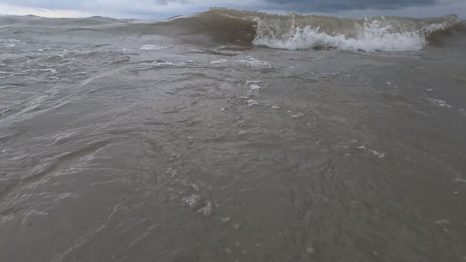 Tracking Lake Erie's missing reptile