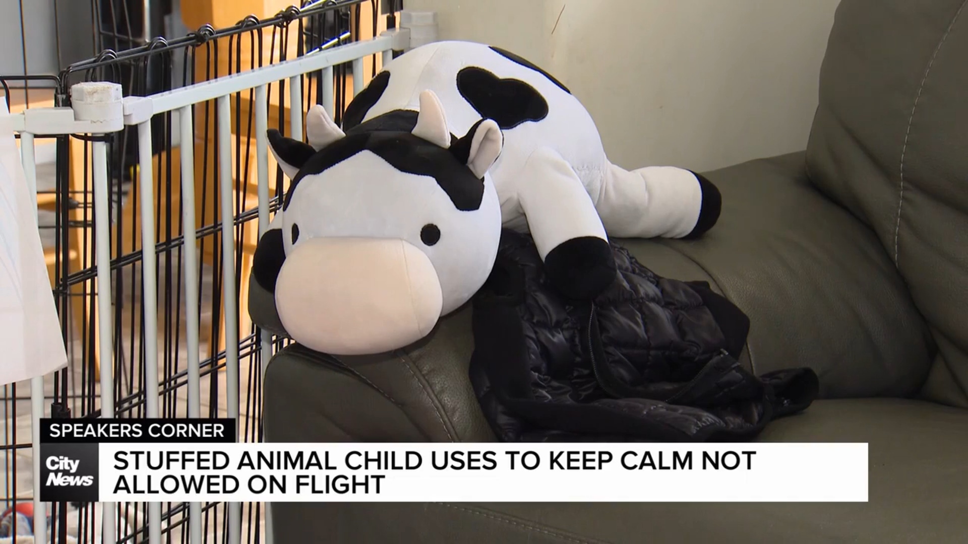 Autistic child’s weighted stuffed animal not allowed on recent flight