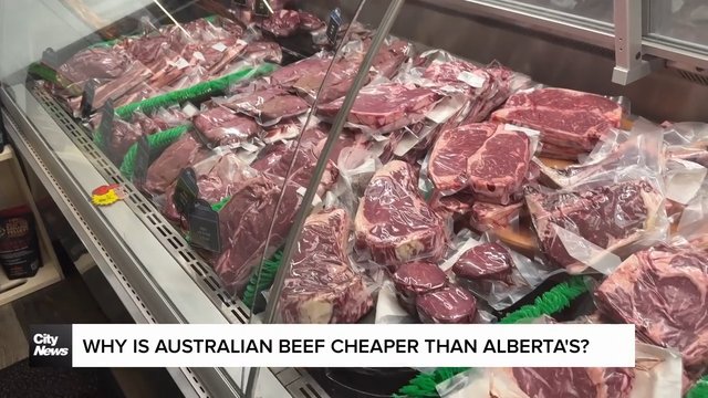 Why is Australian beef cheaper than Alberta’s?