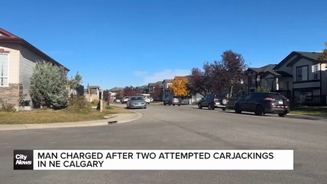 Man attacked with bolt cutters during attempted carjacking: Calgary police
