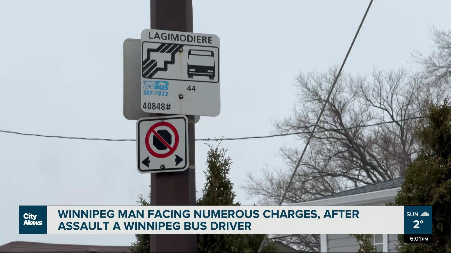 Winnipeg bus driver assaulted for refusing to deviate from route