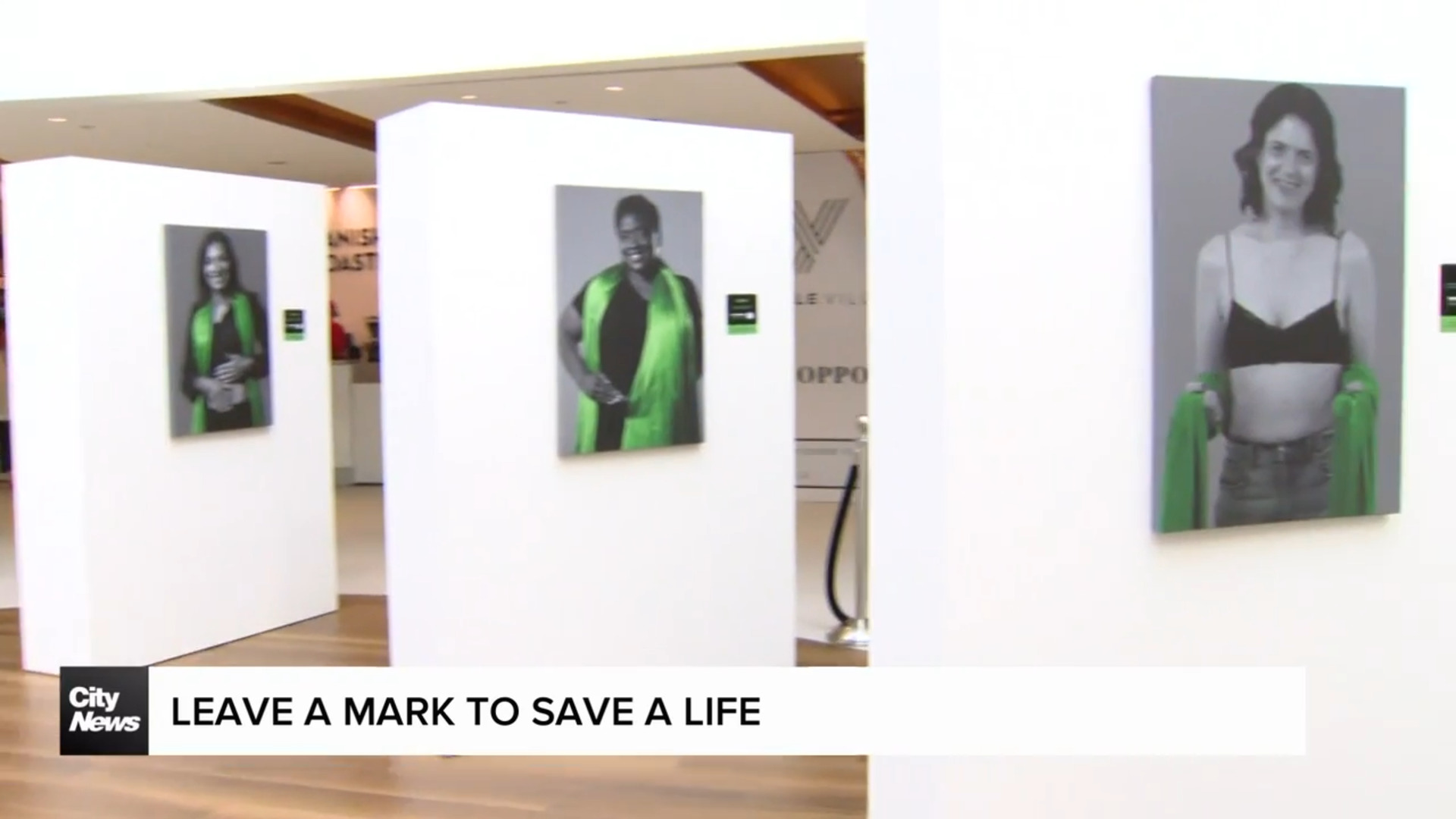 Art exhibit highlights the need for living organ donors