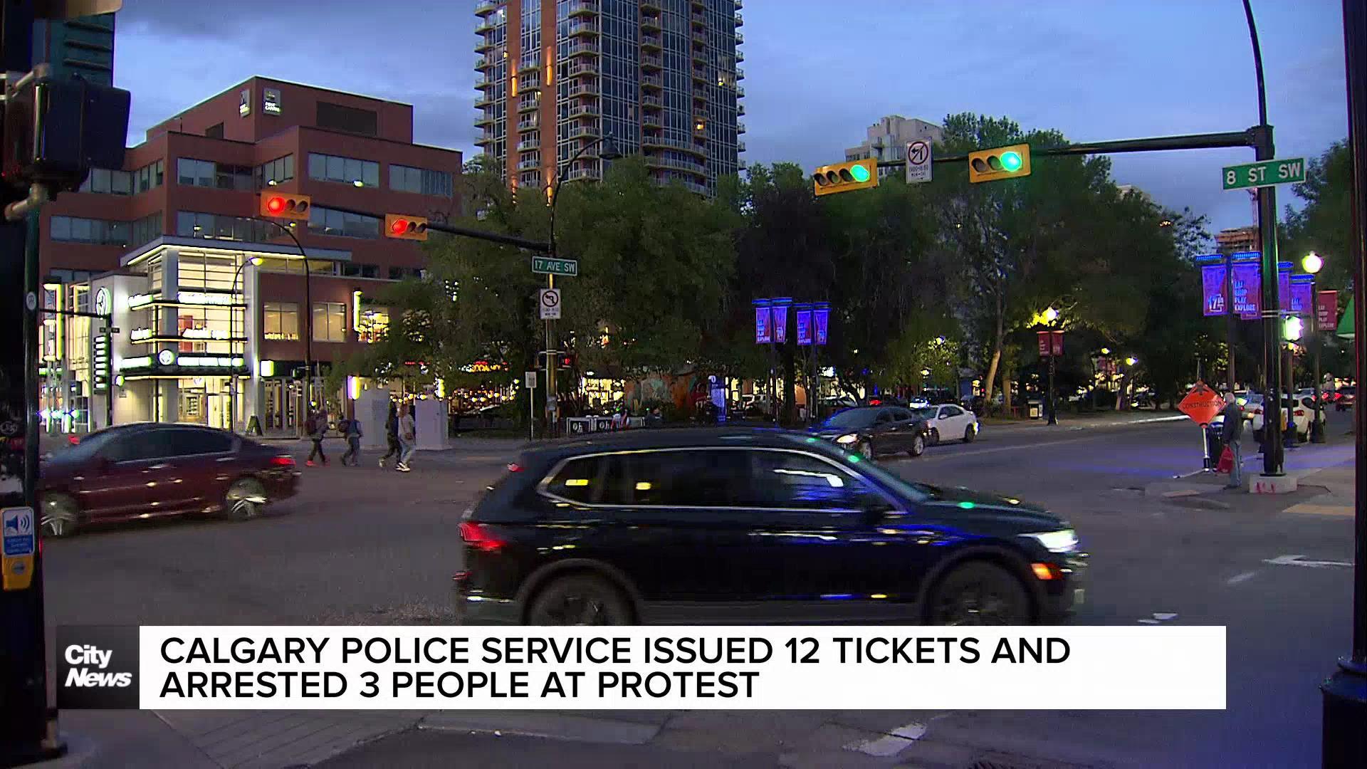 Calgary Police Service issued 12 tickets and arrested 3 people at Tomkins Park protest