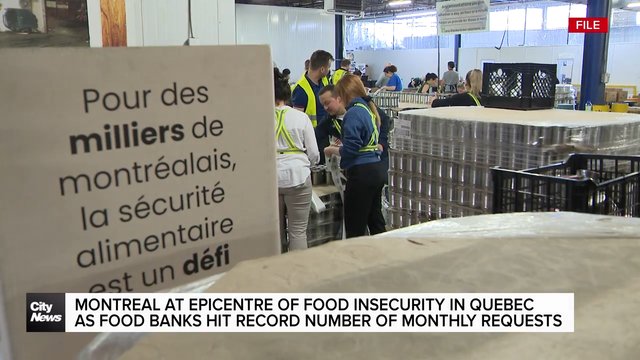 Demand for food assistance reaches historic high in Quebec: study