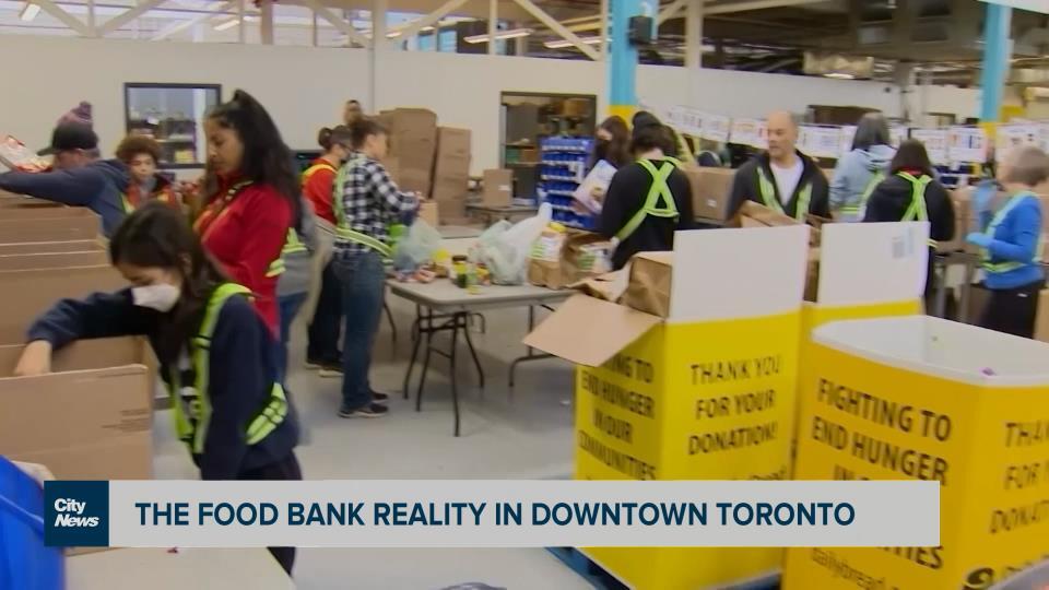 Viral video of hundreds in line at Fort York Food Bank not