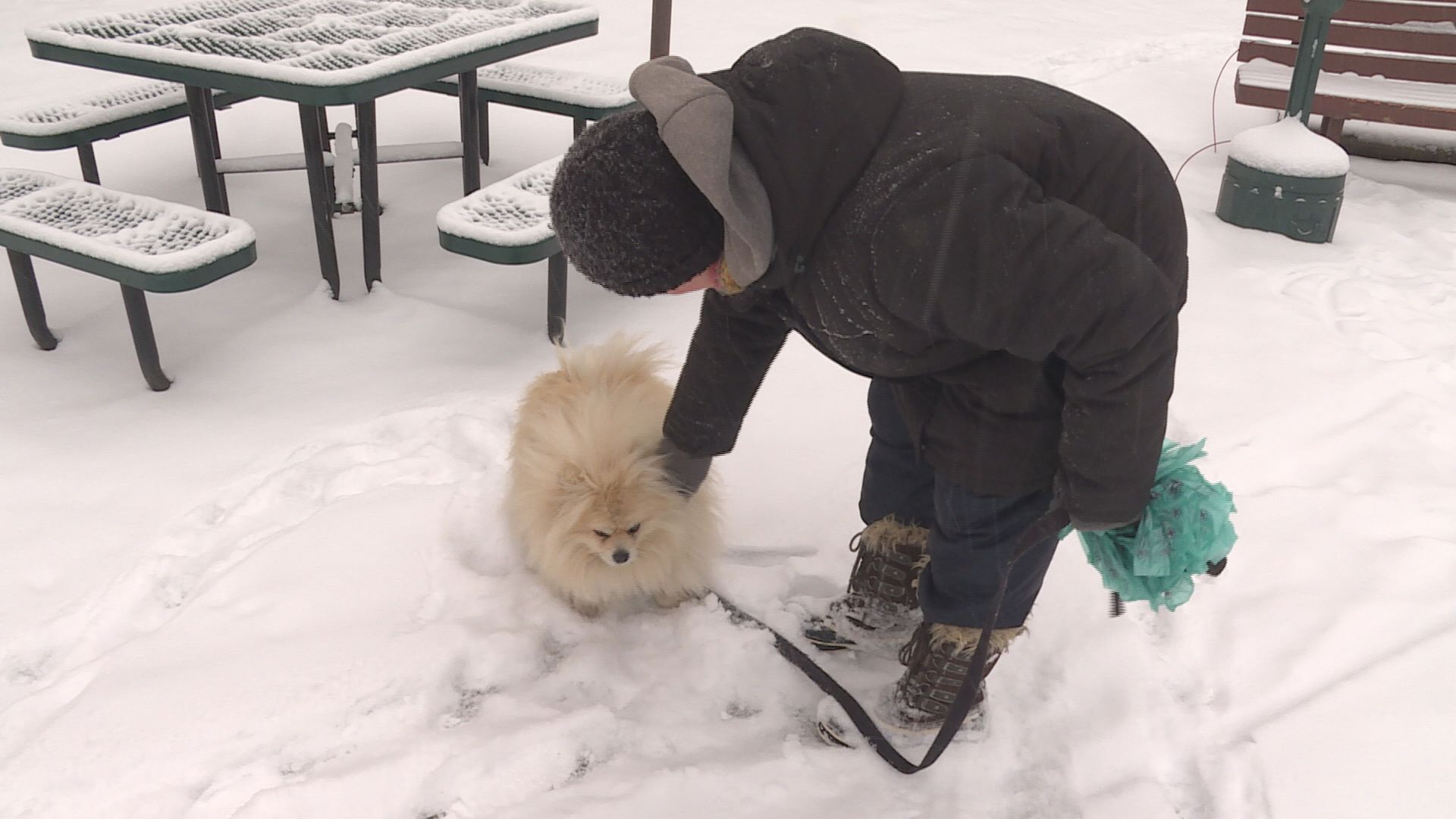 Extreme cold weather blankets parts of Canada 