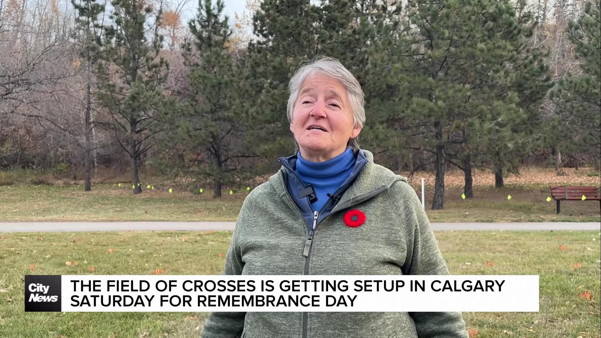 The Field of Crosses set up in Calgary