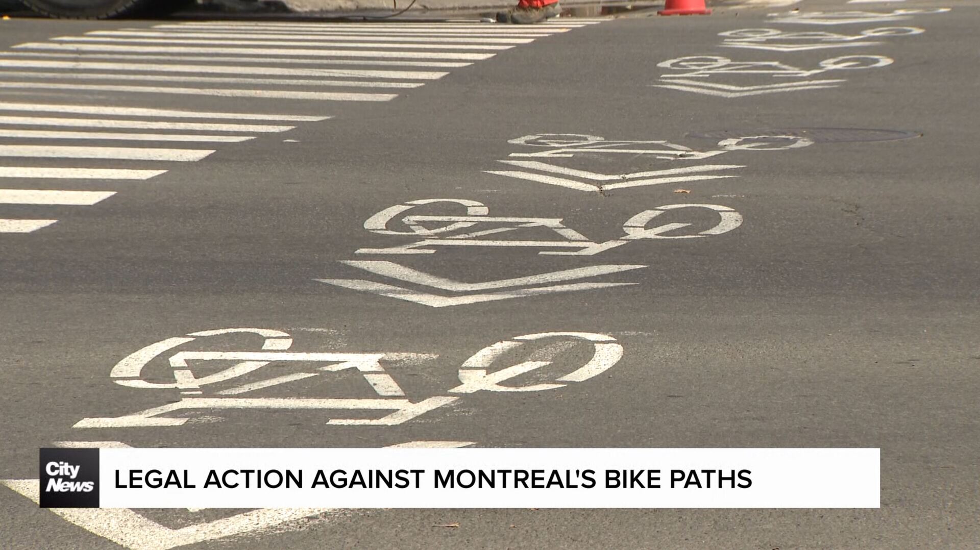 Non-profit takes legal action against Montreal's bike paths