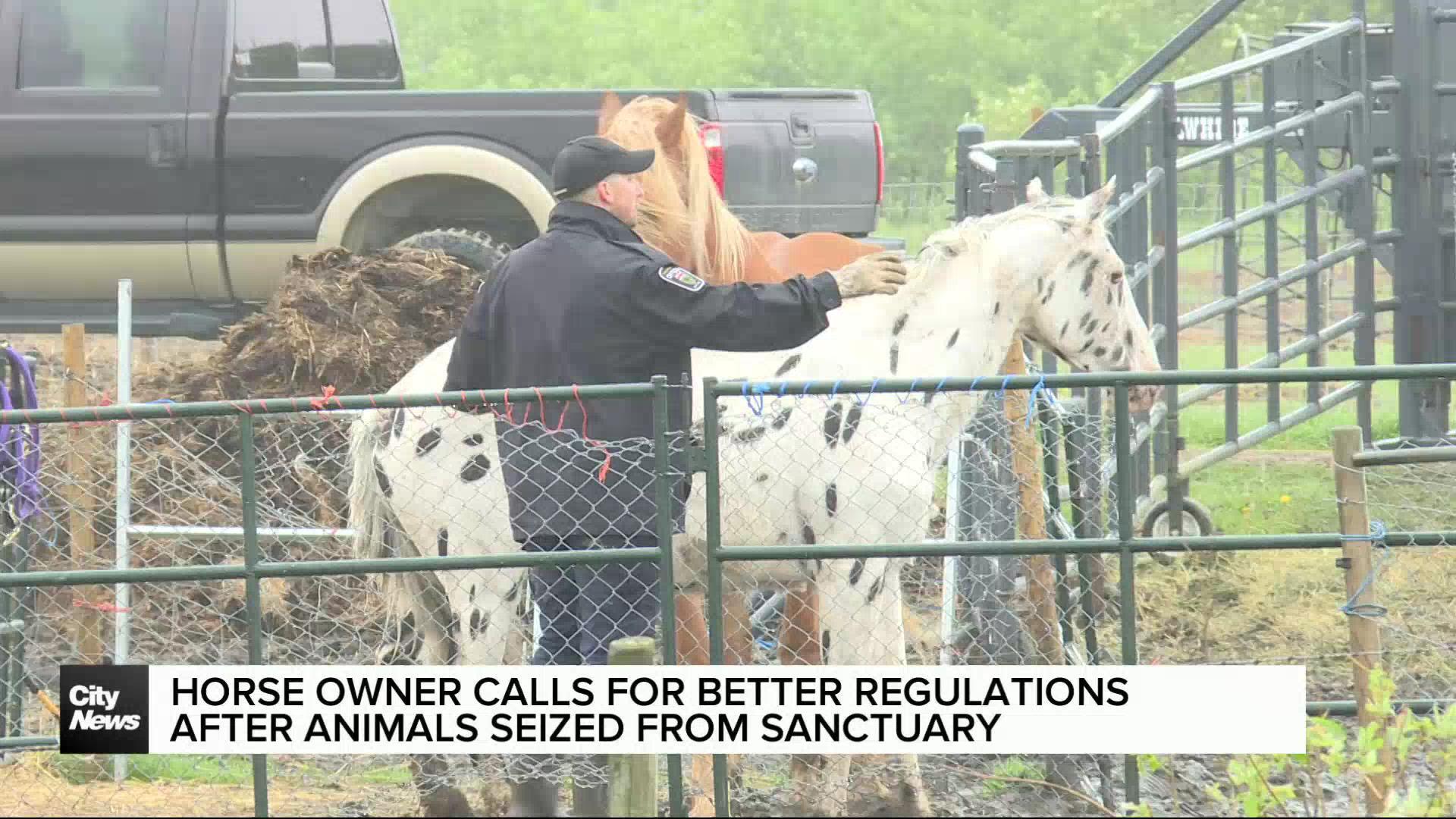 Horse community reeling after seizure of 160 animals