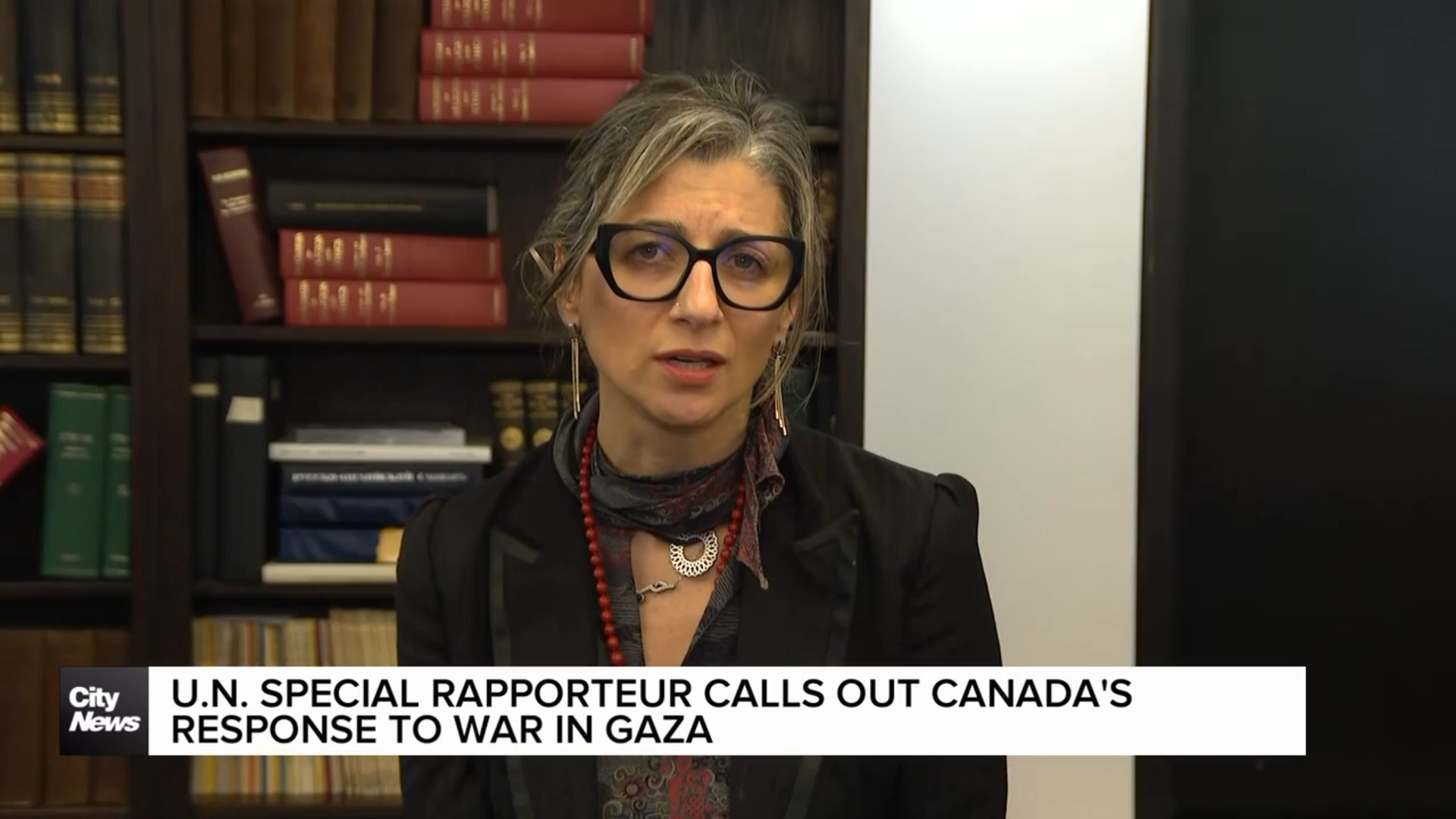 United Nations Special Rapporteur slams Canada over response to Gaza war