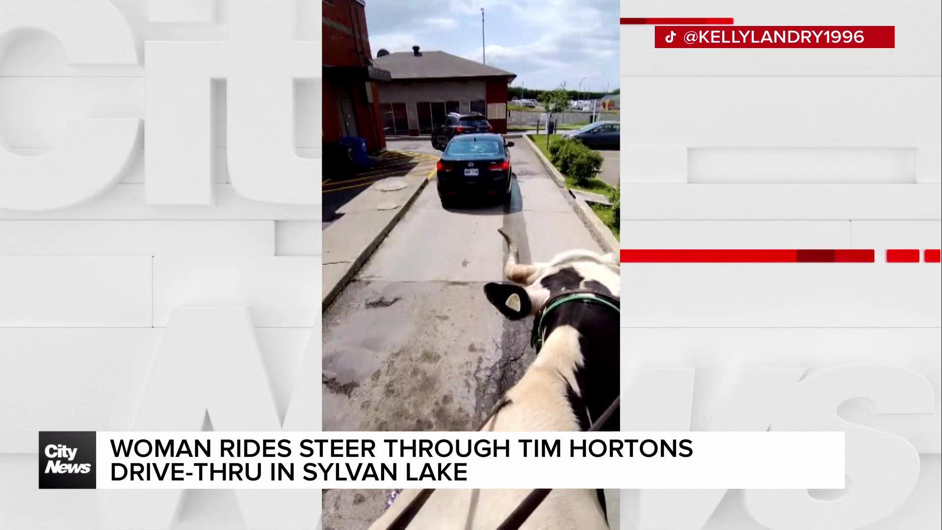 Woman rides steer through Tim Hortons drive-thru in central Alberta town