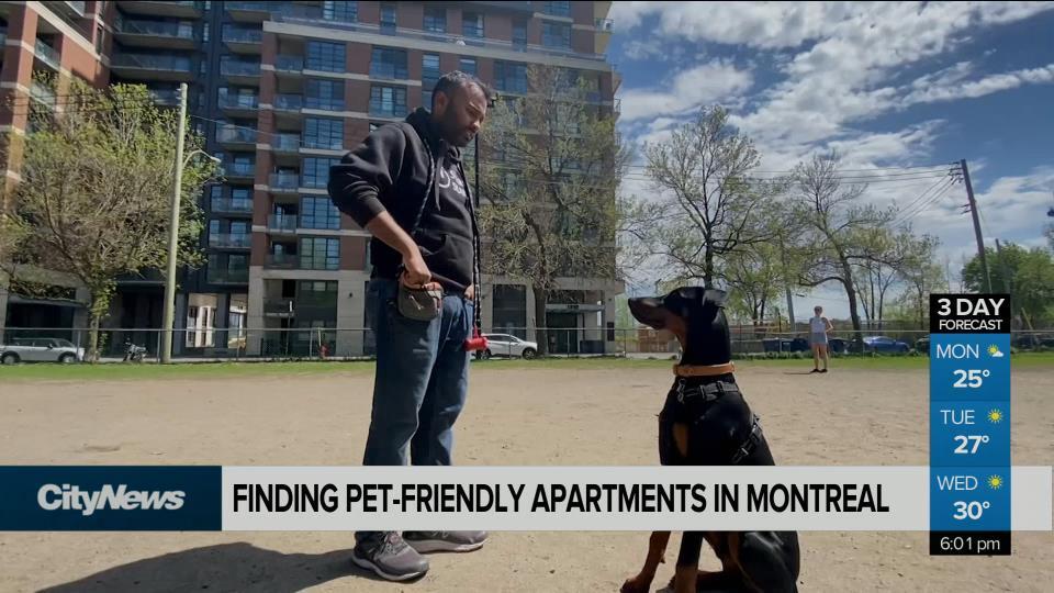 is montreal a dog friendly city