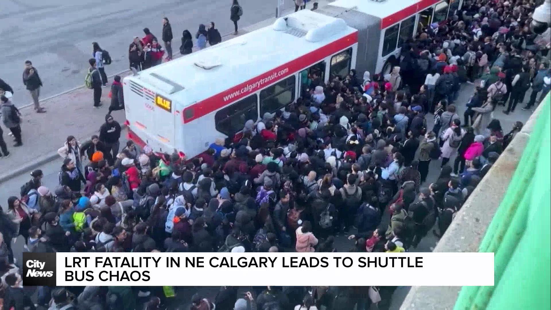 LRT fatality in NE Calgary leads to shuttle bus chaos