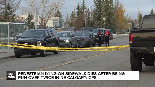 Pedestrian lying on sidewalk killed after being run over twice: Calgary police