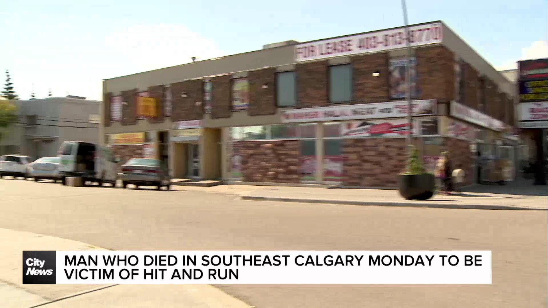 Death of man at SE Calgary hookah lounge result of hit-and-run: CPS