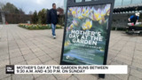Celebrating Mother's Day 2026 in Toronto