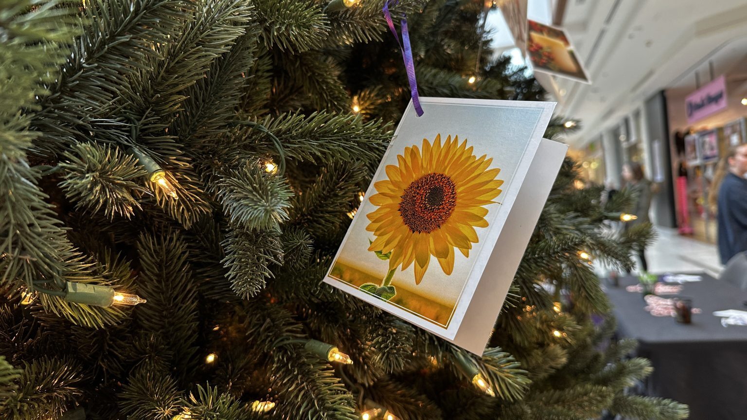 Memory Tree lights up Winnipeg to help people connect and grieve