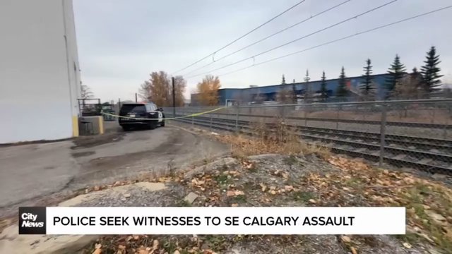 Police seek witnesses to SE Calgary assault