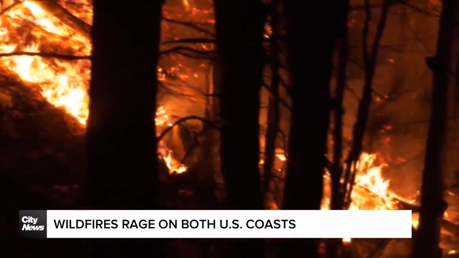 Wildfires rage on both U.S. coasts