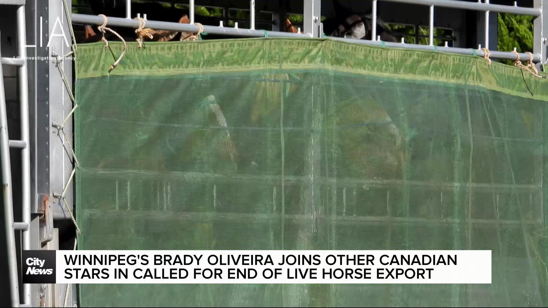 Canadian celebrities join calls to end live horse export for slaughter