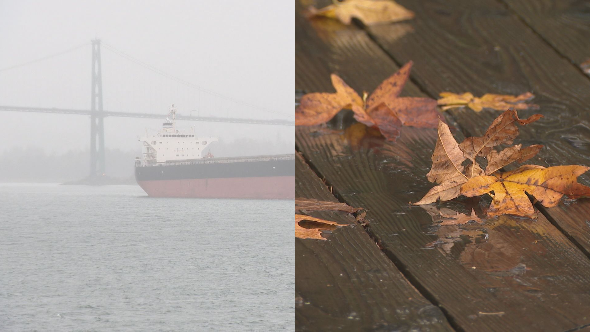 Atmospheric river triggers heavy rainfall in B.C. this weekend