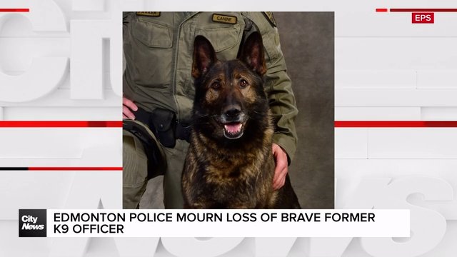 Edmonton Police mourn loss of brave former K9 officer