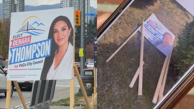 Municipal candidate reports vandalism of election signs to RCMP