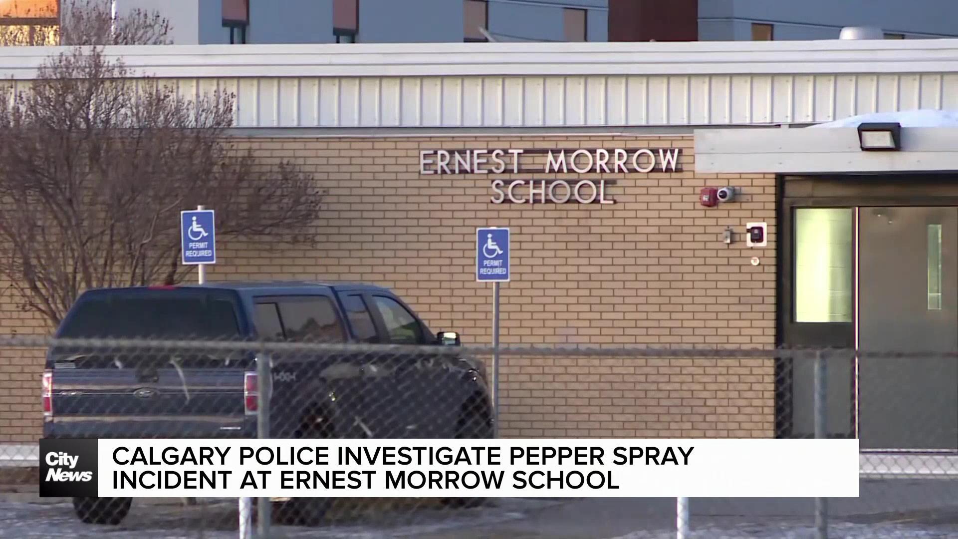 Police investigate pepper spray incident at SE Calgary school