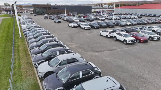 Tariffs' impact on consumers to be felt 'almost immediate,' trade expert warns